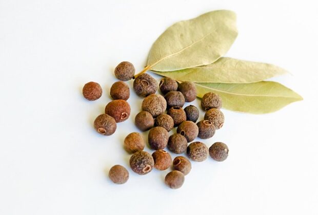 allspice