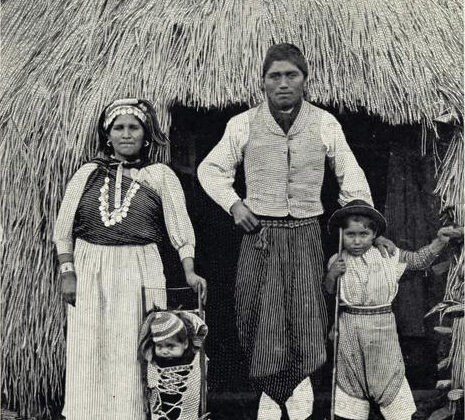 mapuche